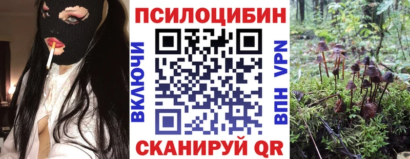 дарк нет телеграм где купить наркоту Сусуман Псилоцибиновые грибы GOLDEN TEACHER omg зеркало
